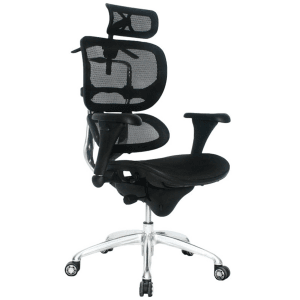 Silla Para Oficina Presidente Ergohuman Eco
